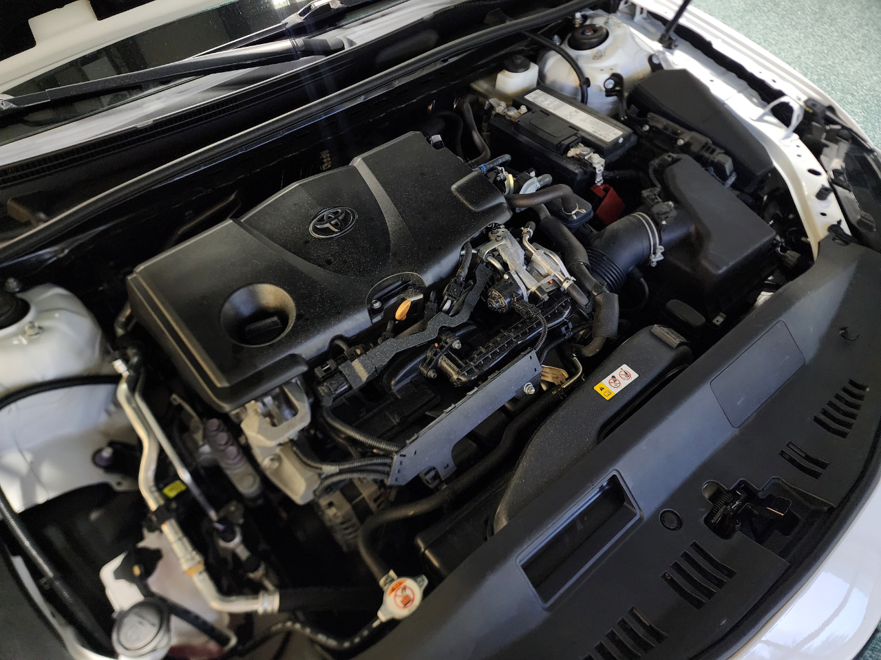 Toyota Camry LE 2019 Toyota Camry LE 2019