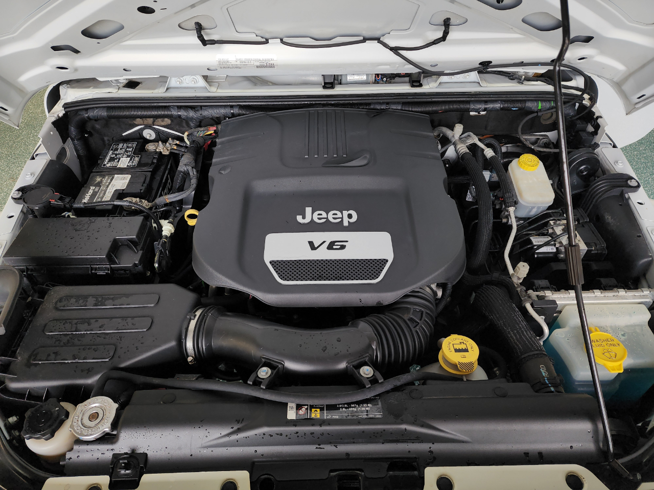 2018 Jeep Wrangler Golden Eagle photo 28