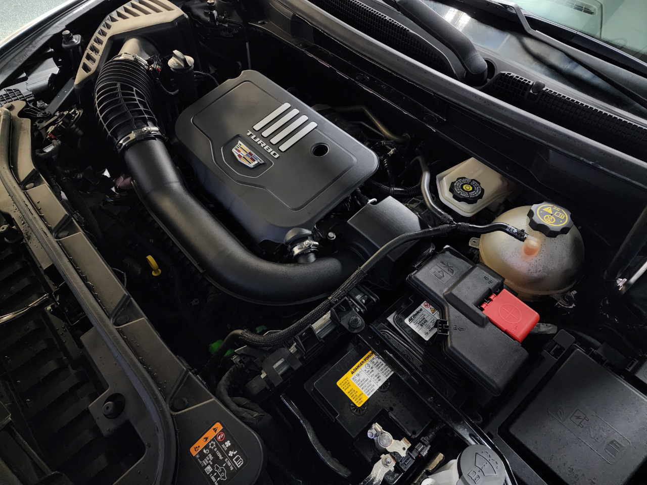 Cadillac XT5 FWD 4dr Premium Luxury 2024 Cadillac XT5 FWD 4dr Premium Luxury 2024