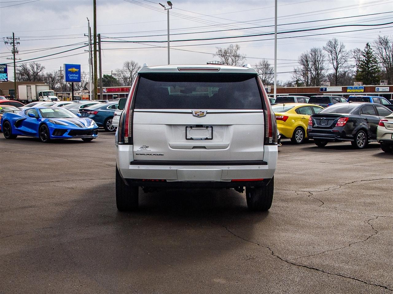 Cadillac Escalade 4WD 4dr Luxury 2019