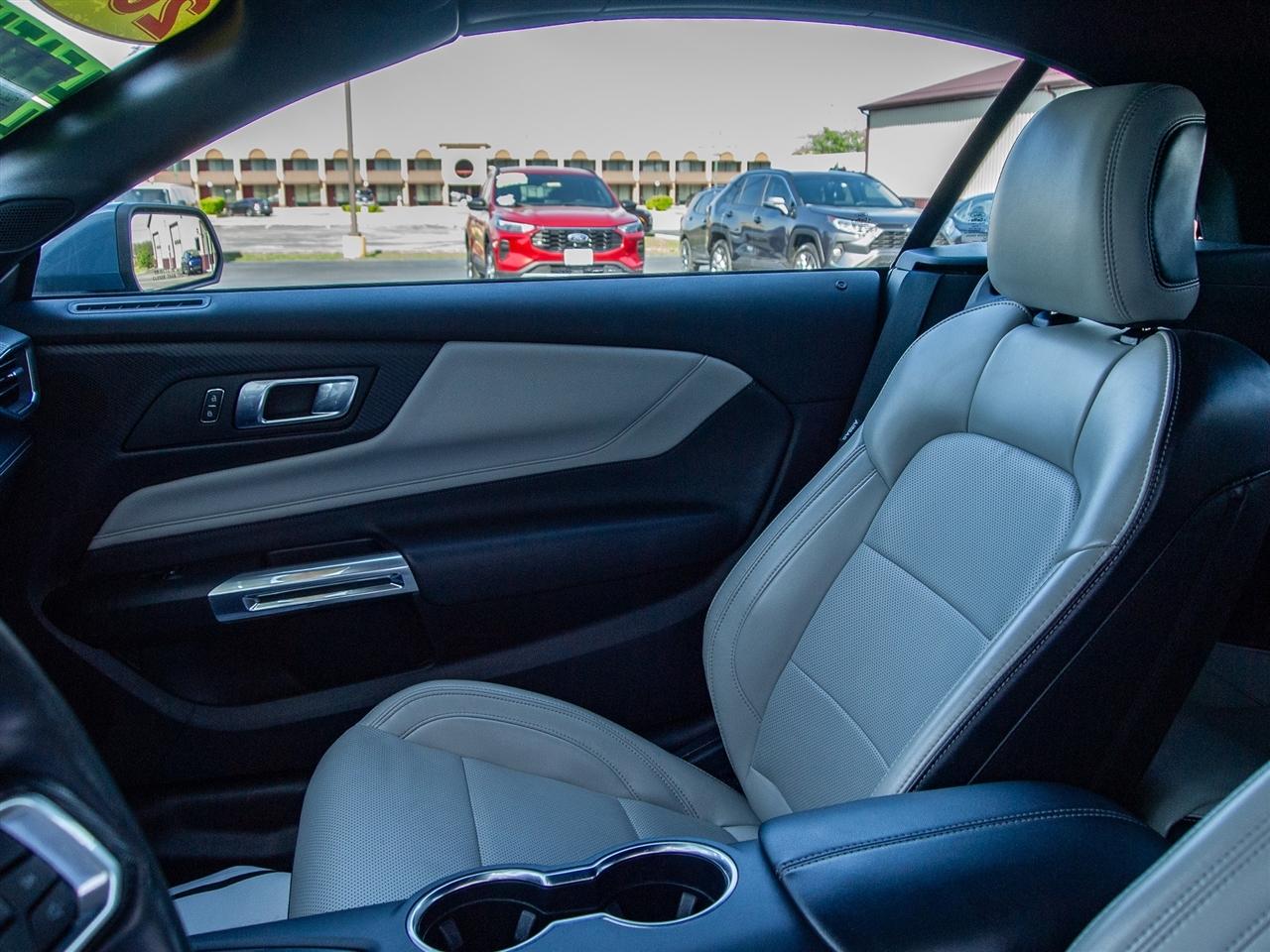 Ford Mustang EcoBoost Convertible 2024