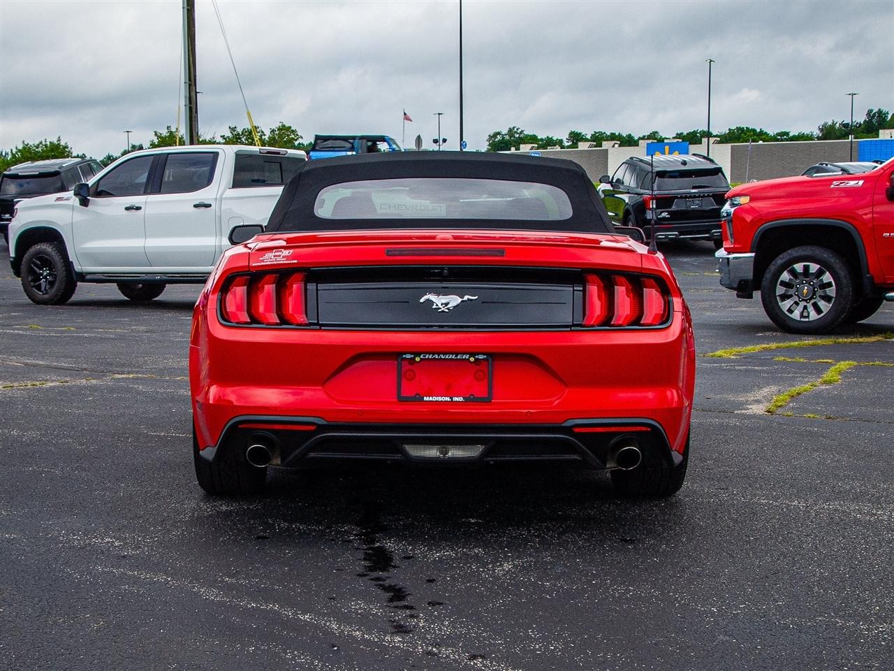 Ford Mustang EcoBoost Convertible 2023