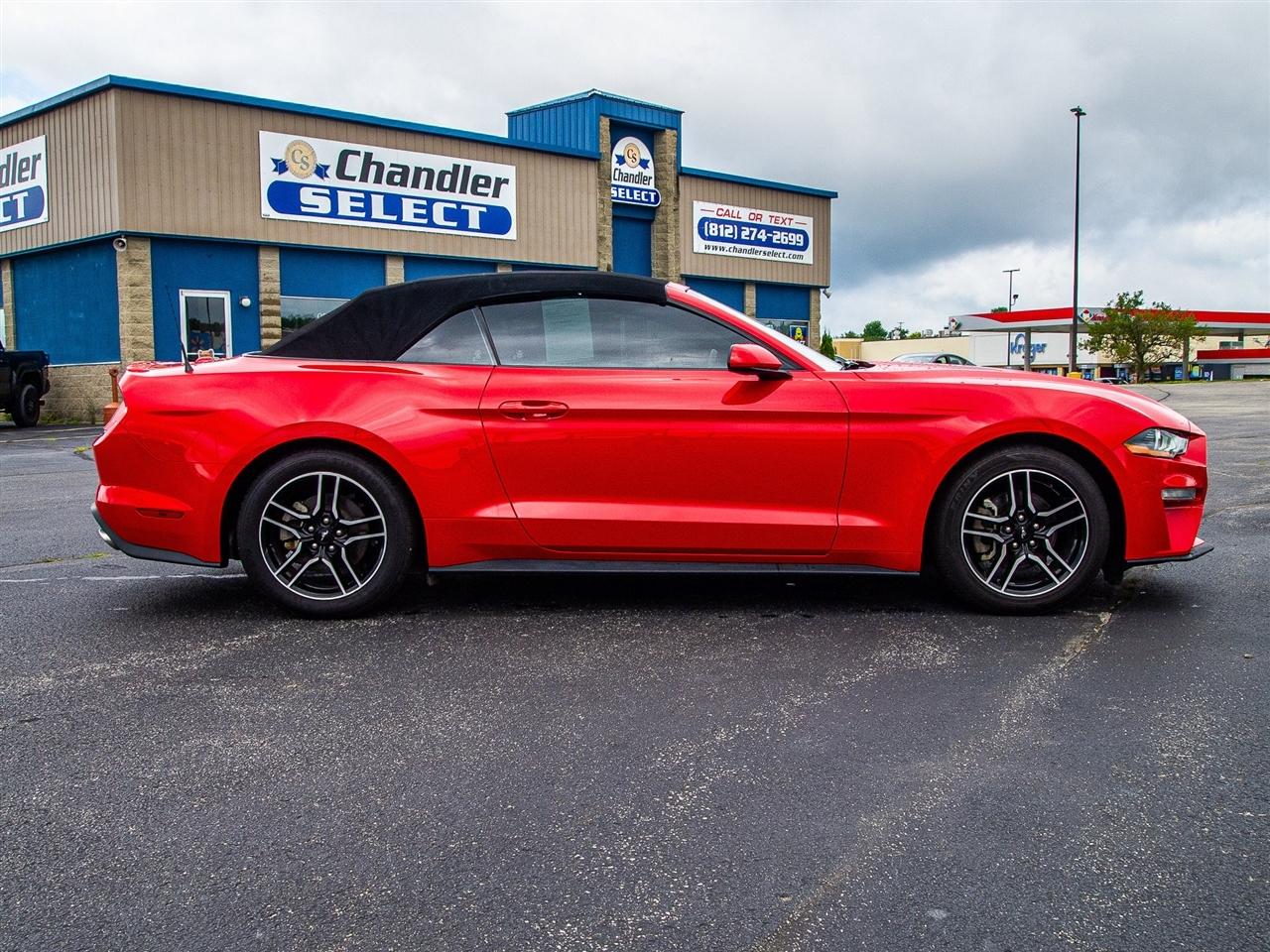 Ford Mustang EcoBoost Convertible 2023