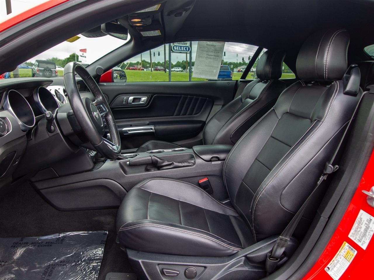 Ford Mustang EcoBoost Convertible 2023