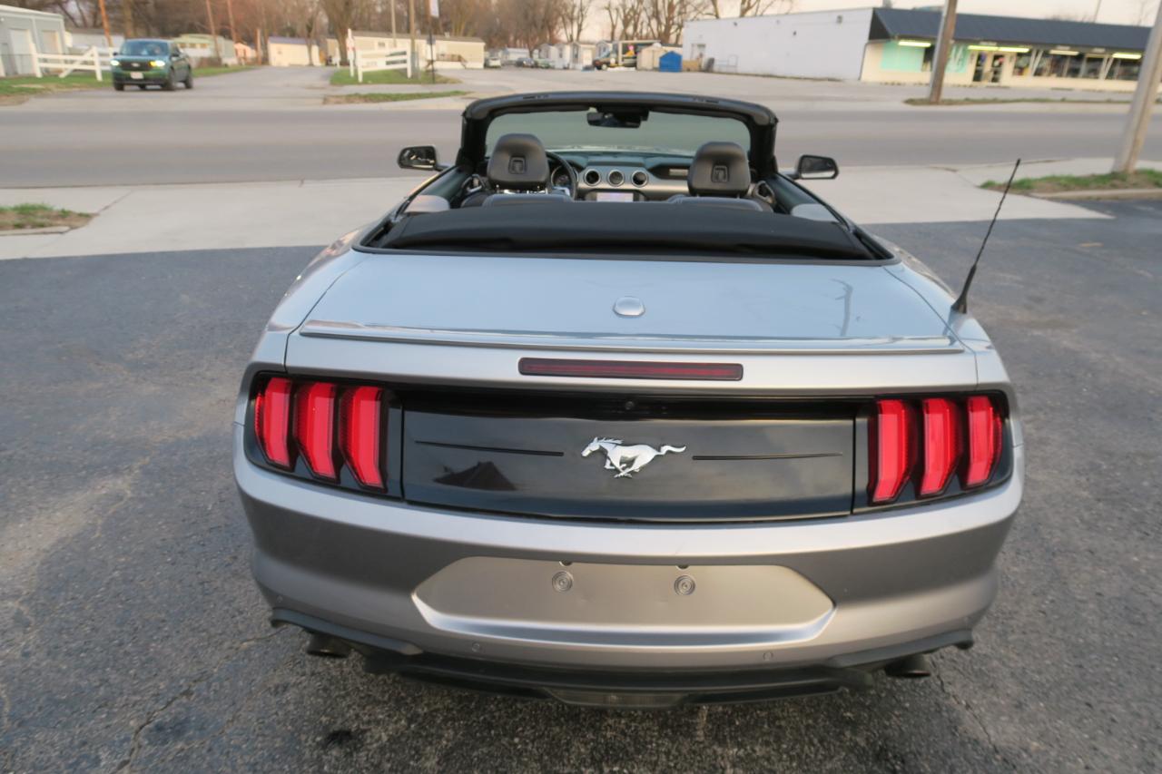 Ford Mustang Eco Premium 2D Convertible 2023