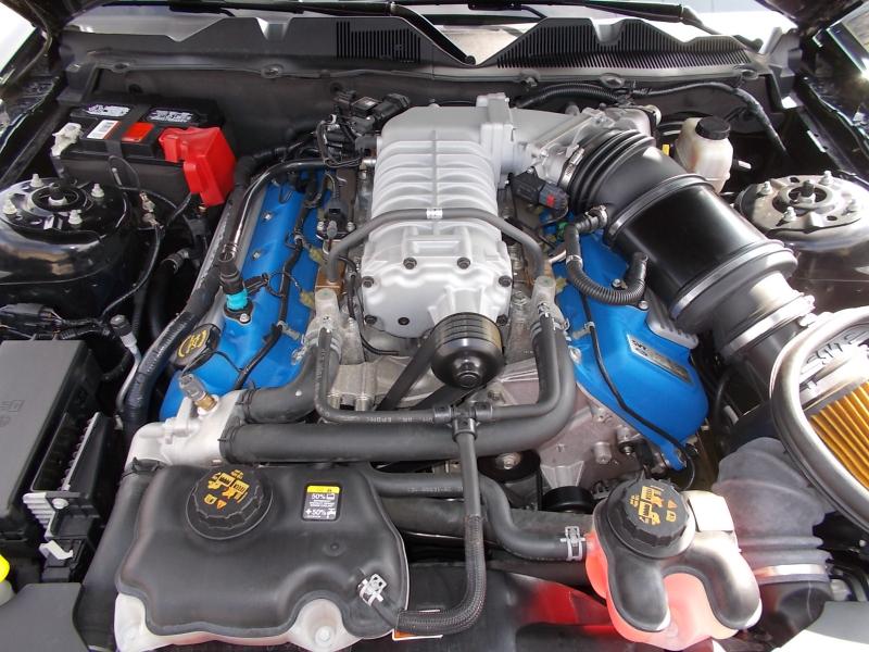 Ford Mustang 2dr Cpe Shelby GT500 2011