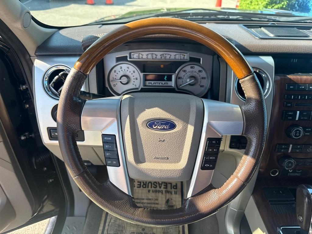 Ford F-150 Platinum SuperCrew 4WD 2010