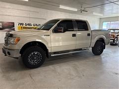 2010 Ford F-150 