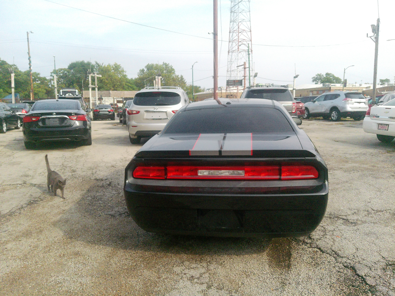 Dodge Challenger SE 2010 Dodge Challenger SE 2010