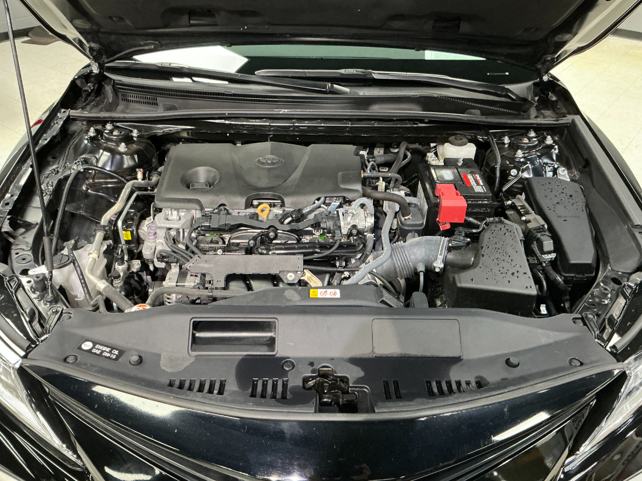 Toyota Camry LE Auto (Natl) 2024