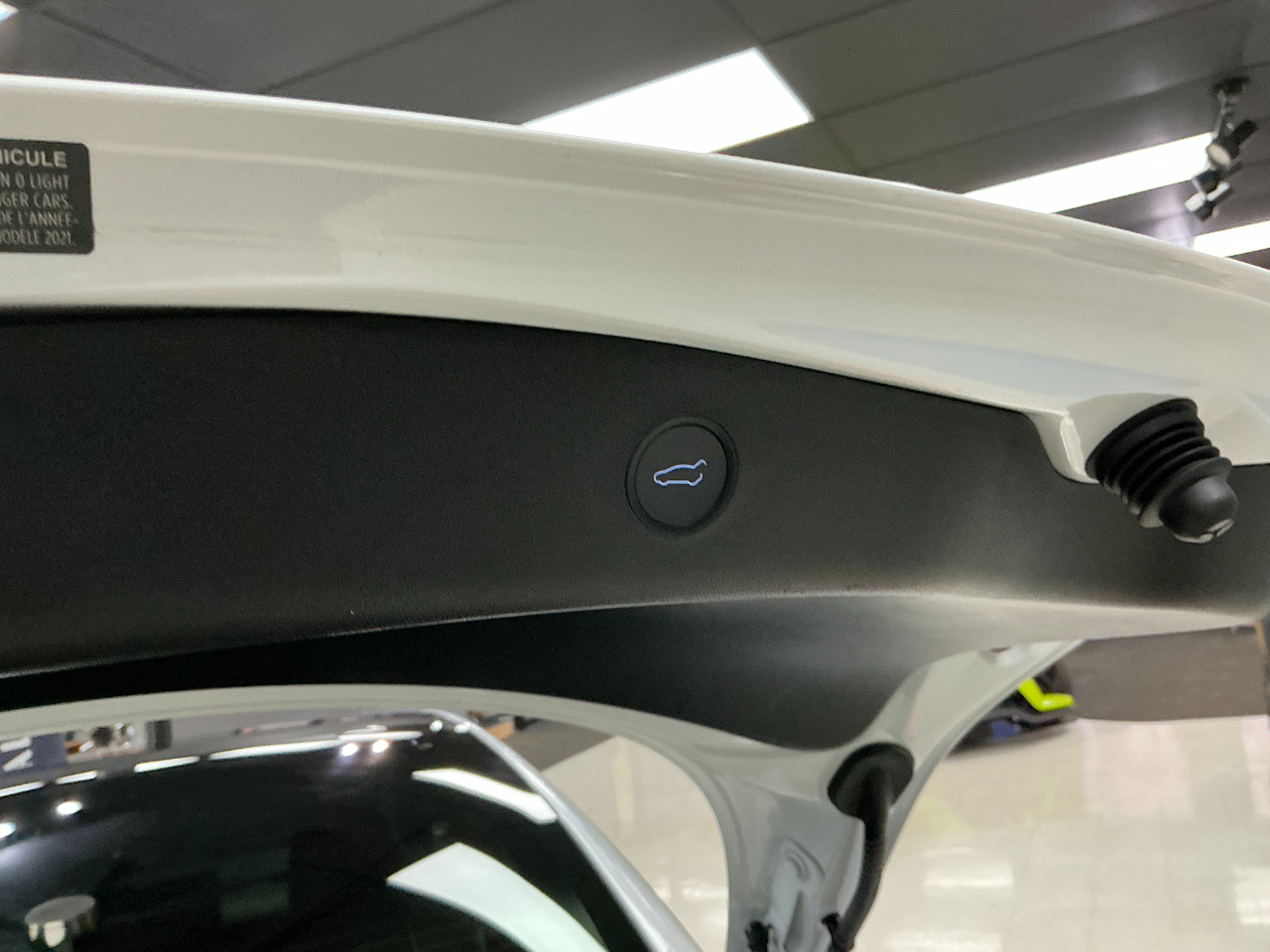 Tesla Model 3 Standard Range Plus RWD 2021