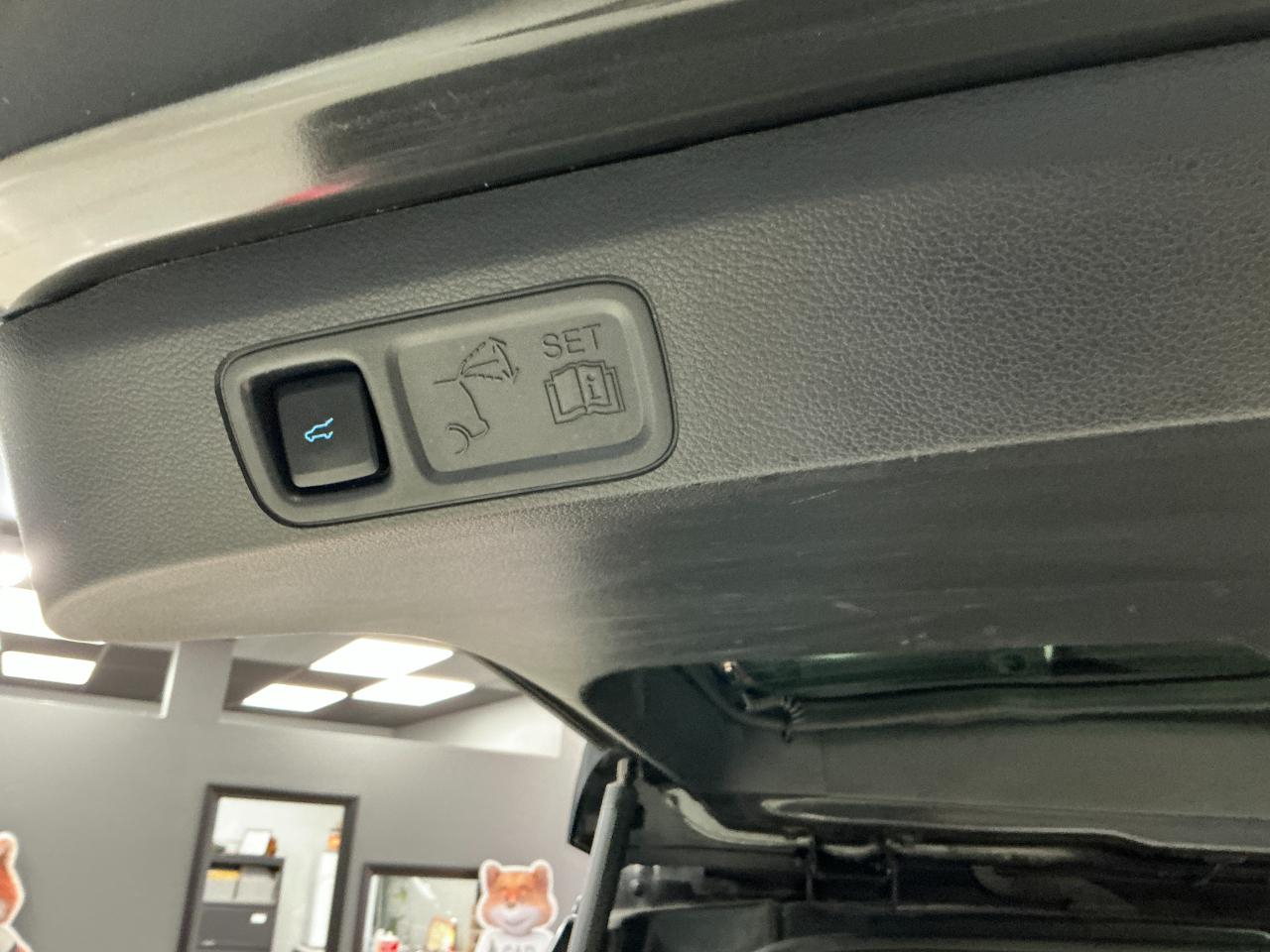 Ford Expedition Max XLT 4x4 2023