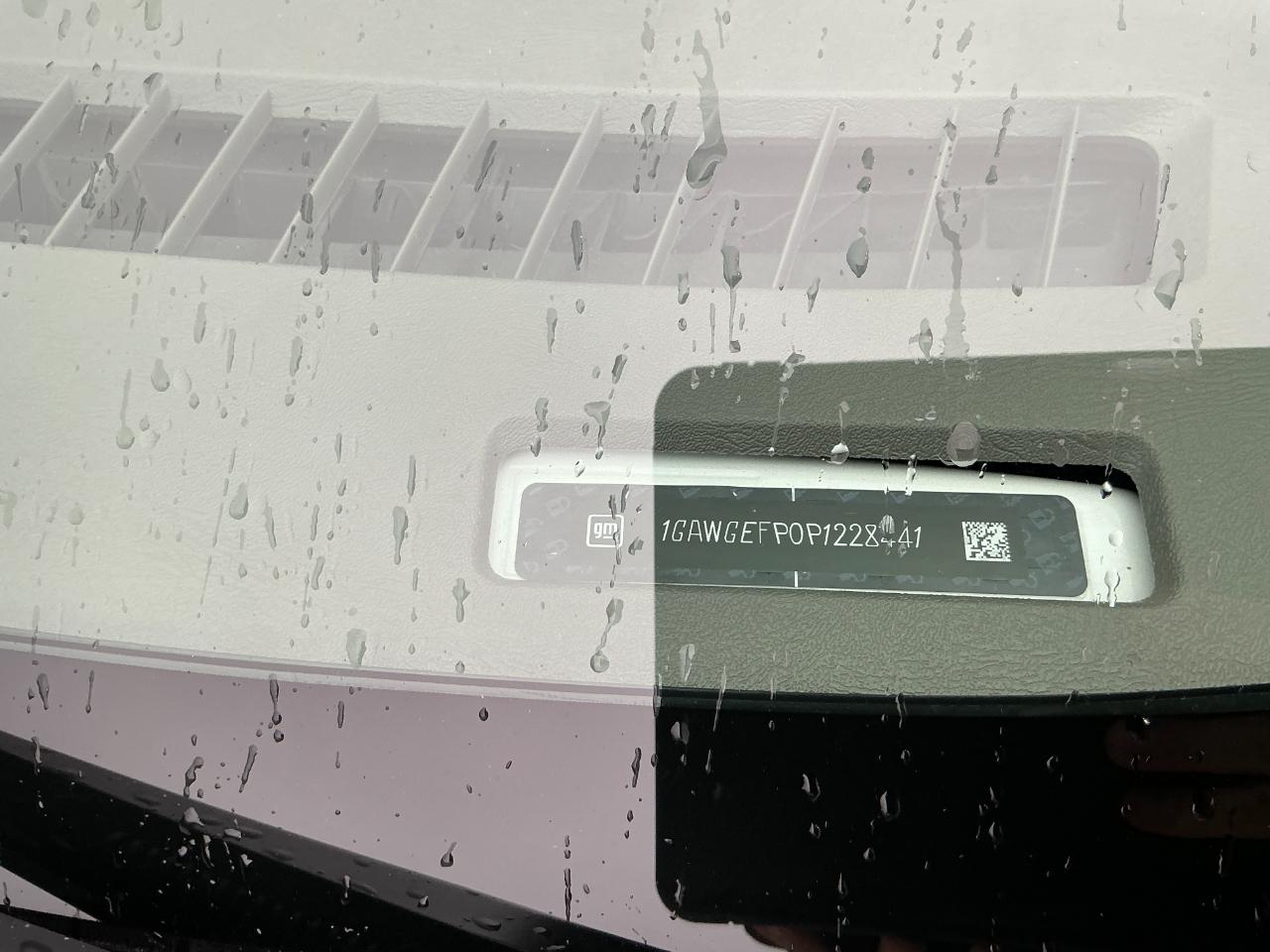 Chevrolet Express Passenger RWD 2500 135" LS 2023