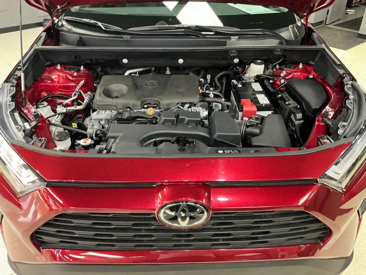 Toyota RAV4 XLE AWD (Natl) 2025