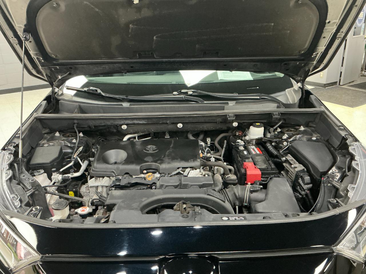 Toyota RAV4 XLE AWD (Natl) 2021