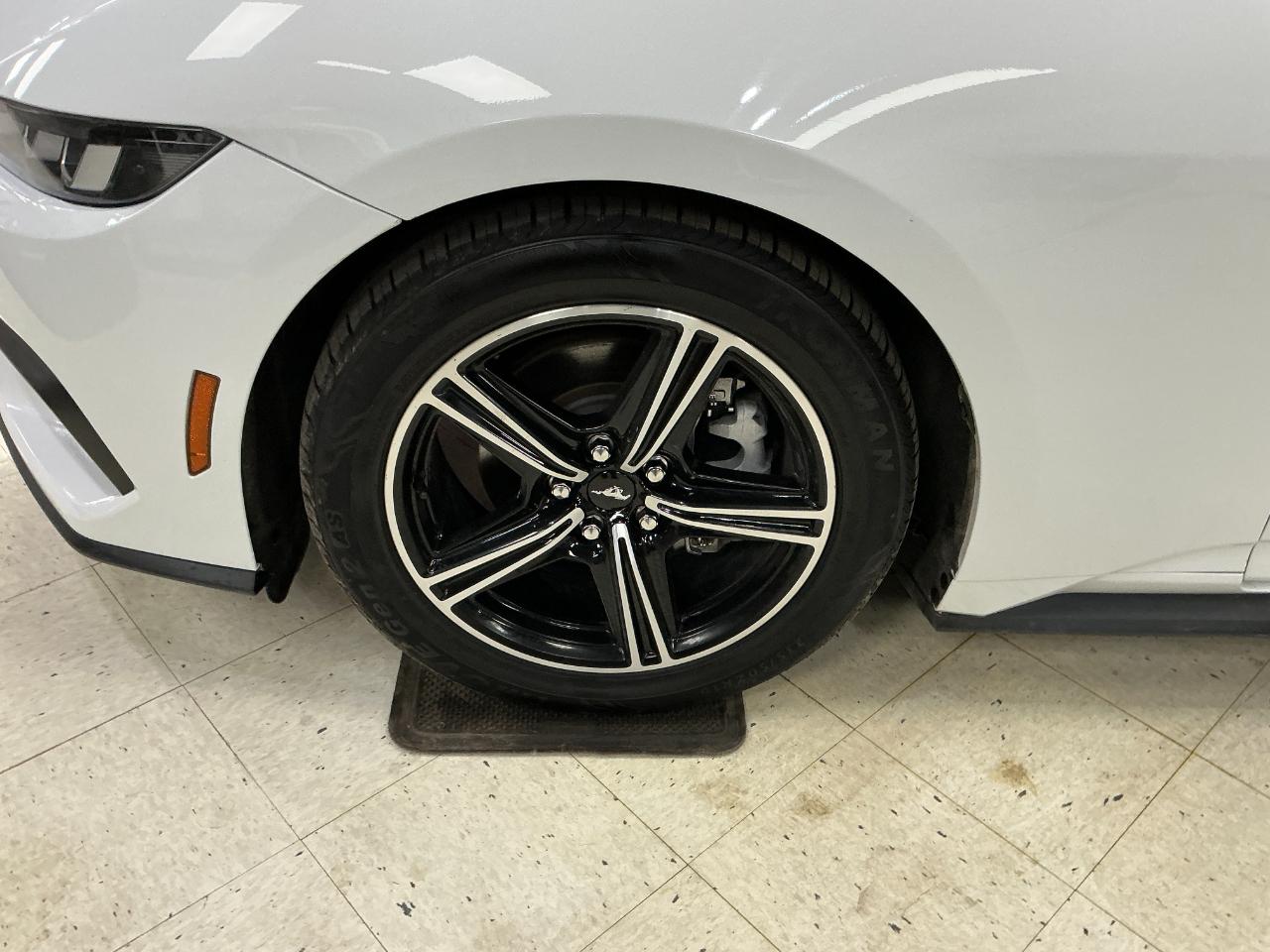 Ford Mustang EcoBoost Convertible 2024