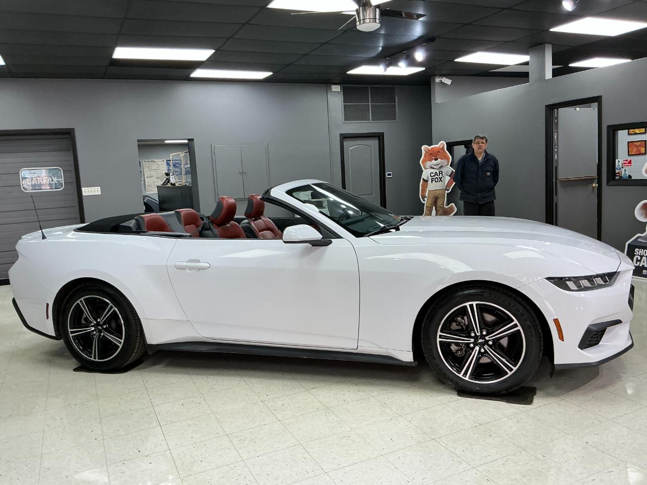 Ford Mustang EcoBoost Convertible 2024