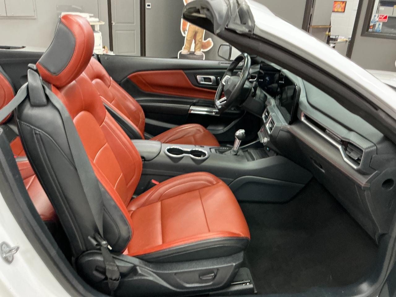 Ford Mustang EcoBoost Convertible 2024