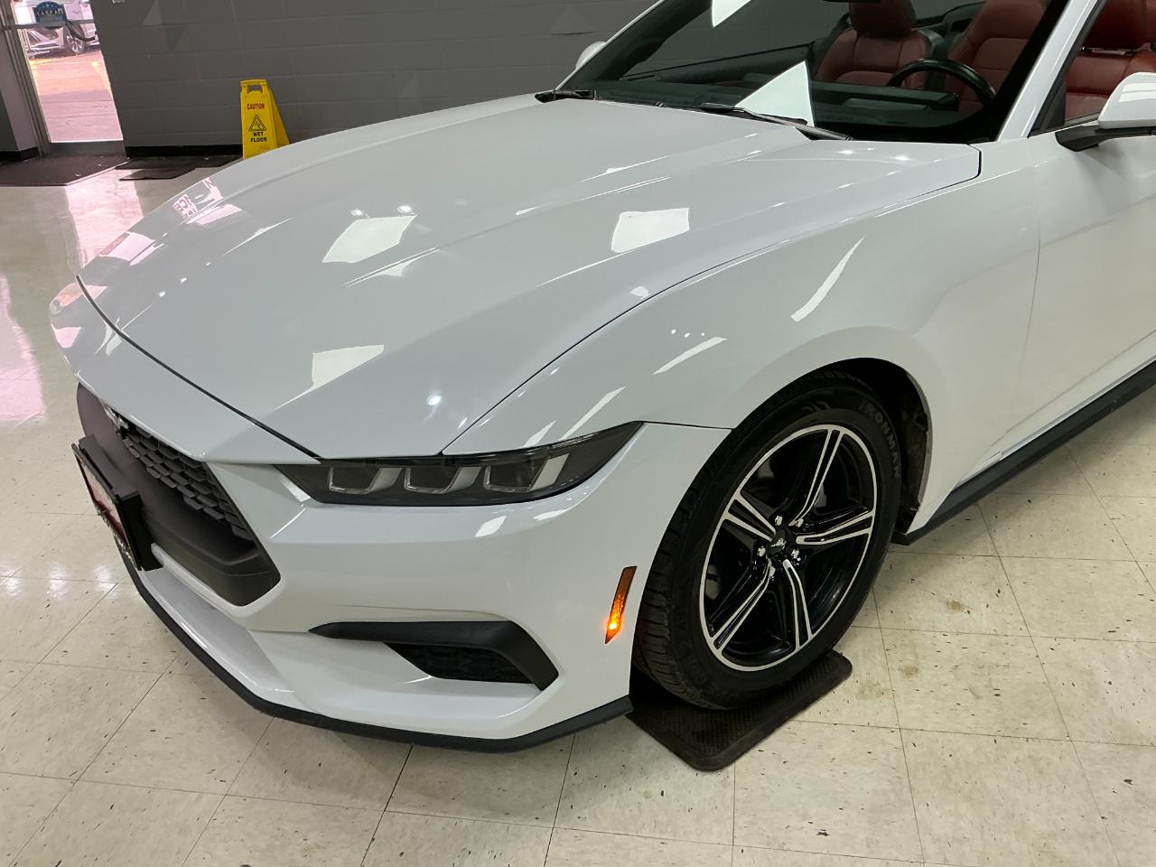 Ford Mustang EcoBoost Convertible 2024