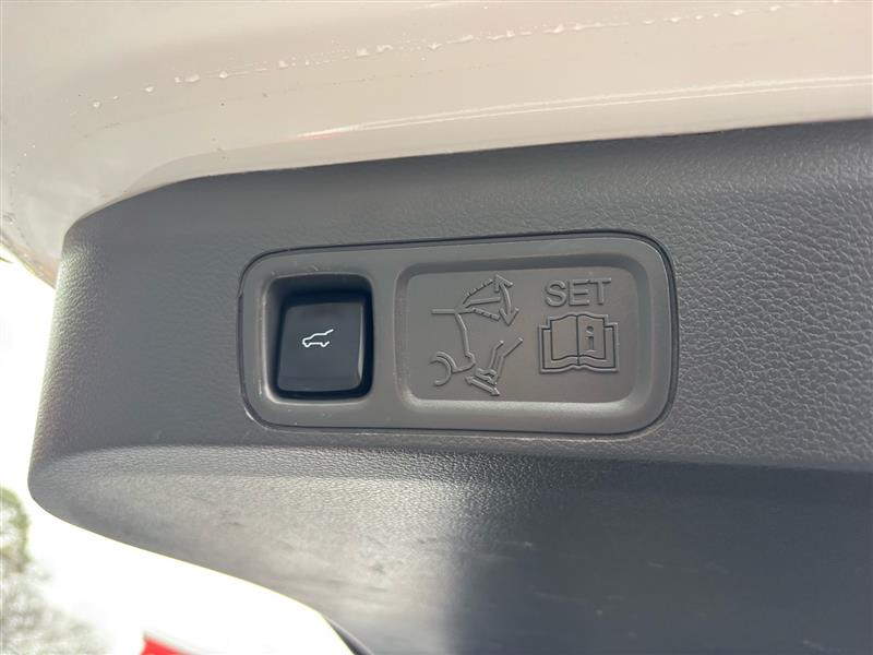 Ford Expedition XLT 2WD 2019