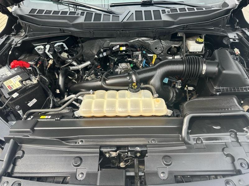 Ford F-150 XLT SuperCrew 5.5-ft. Bed 4WD 2023