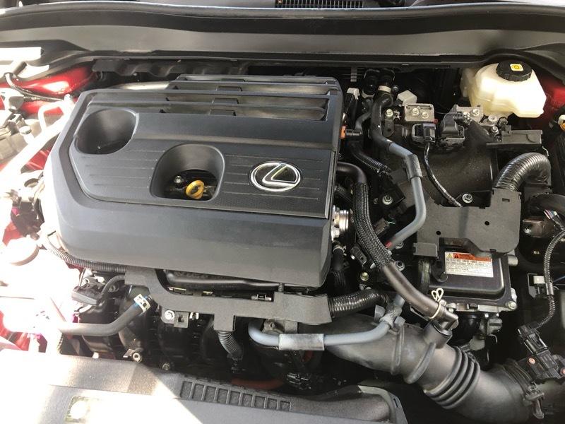 Lexus UX 300h Premium AWD 2025