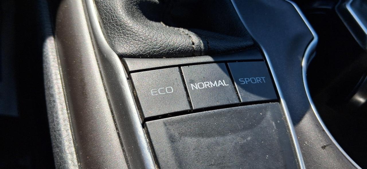Toyota Camry LE Auto (Natl) 2023