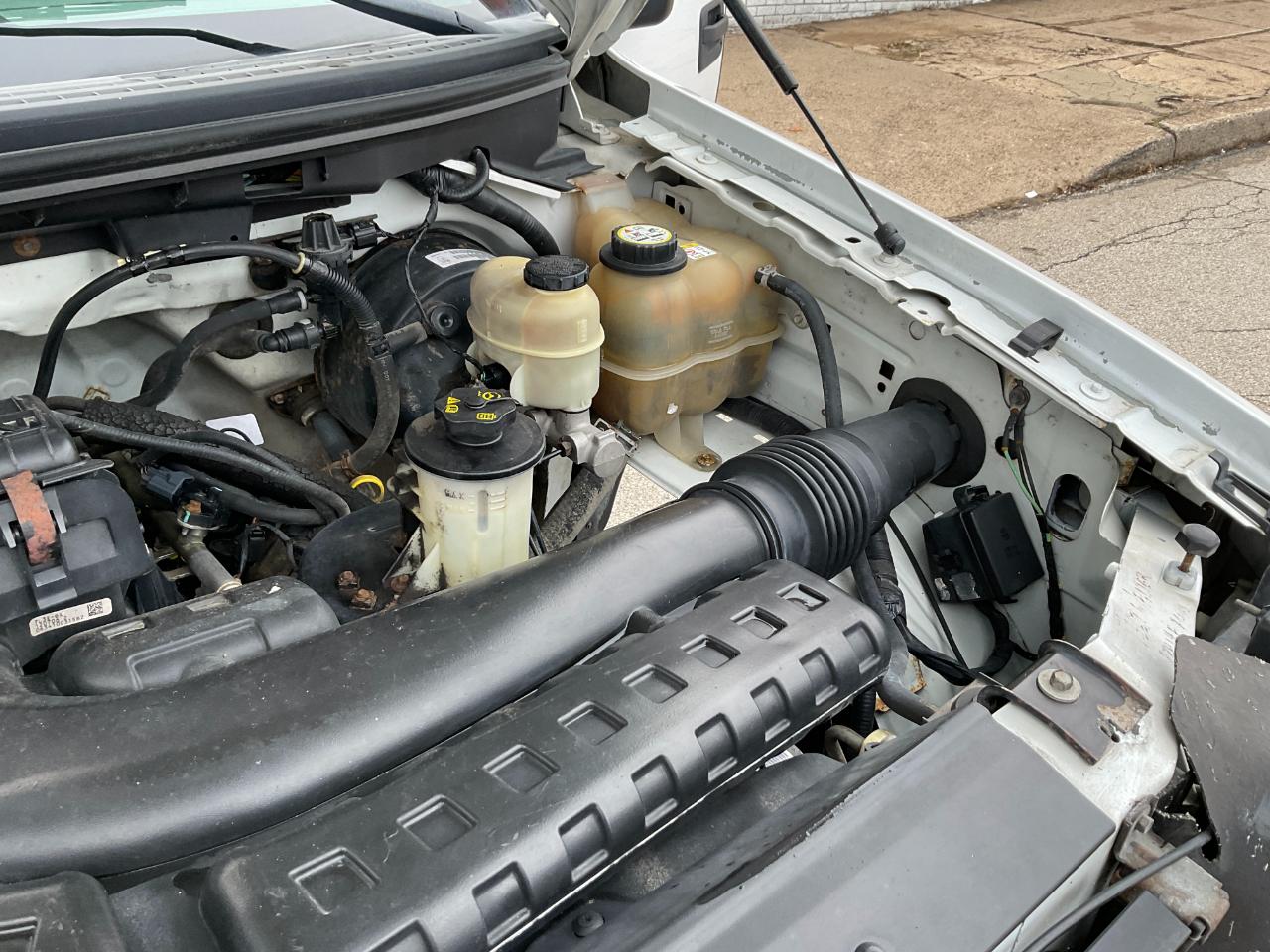 Ford F-150 XL Reg. Cab 4WD 2007