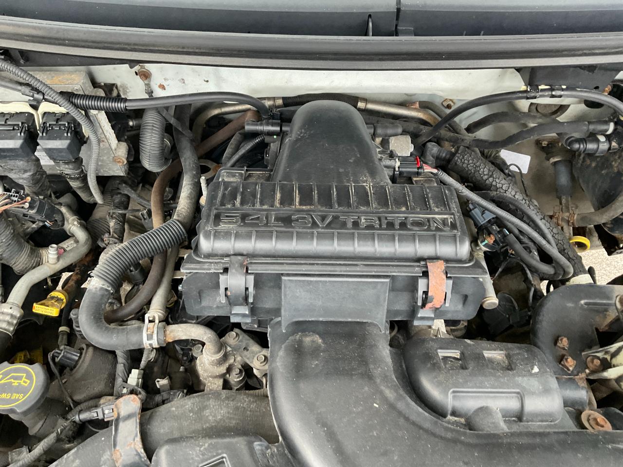 Ford F-150 XL Reg. Cab 4WD 2007