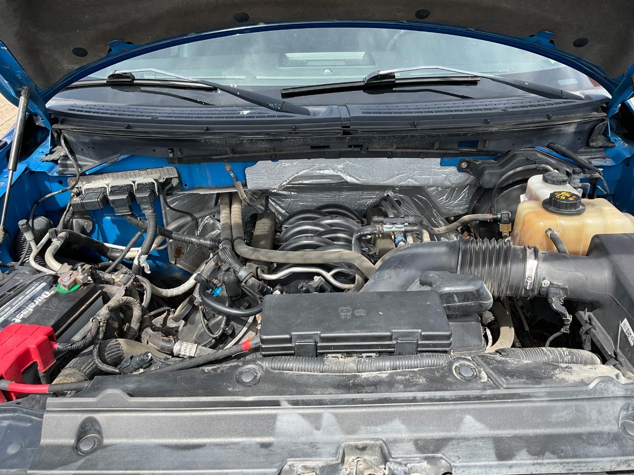 Ford F-150 XLT SuperCrew 6.5-ft. Bed 4WD 2013