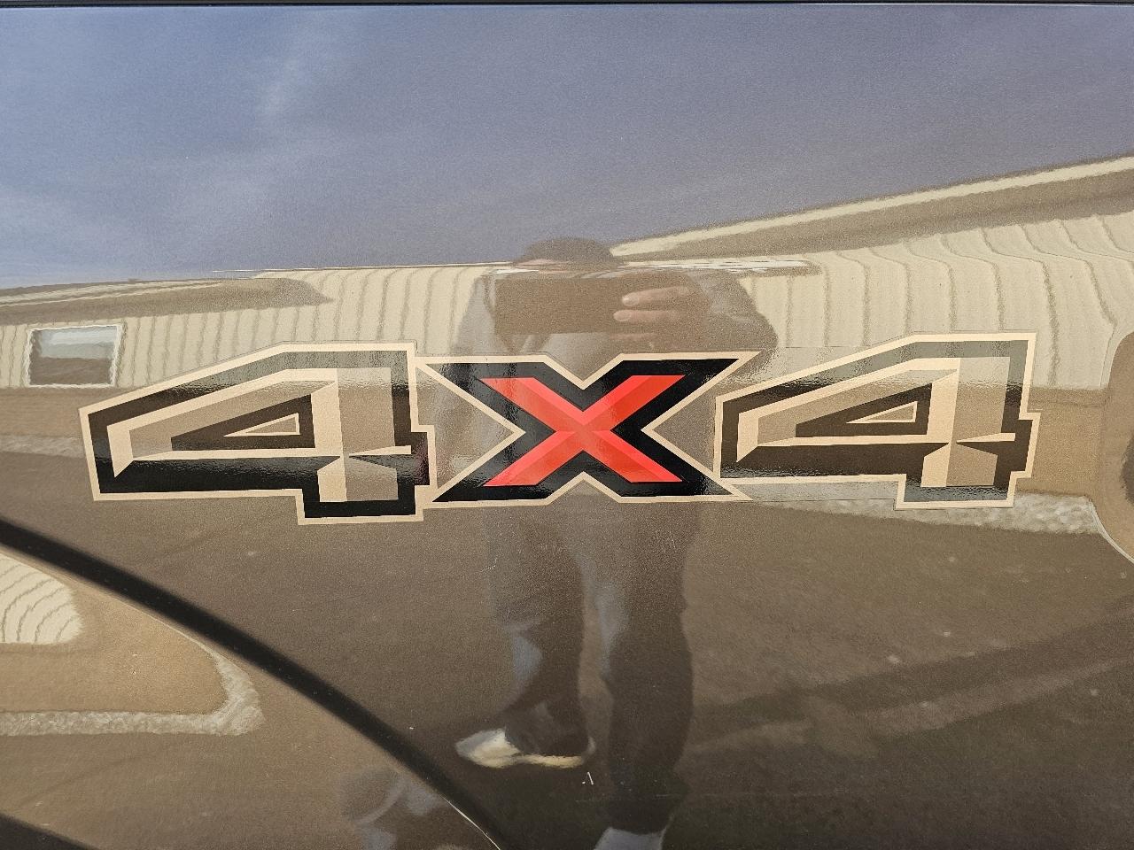 Ford F-150 XLT 4WD SuperCrew 5.5' Box 2015