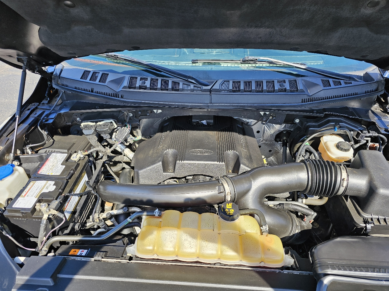 Ford F-150 4WD SuperCrew 157" Platinum 2019