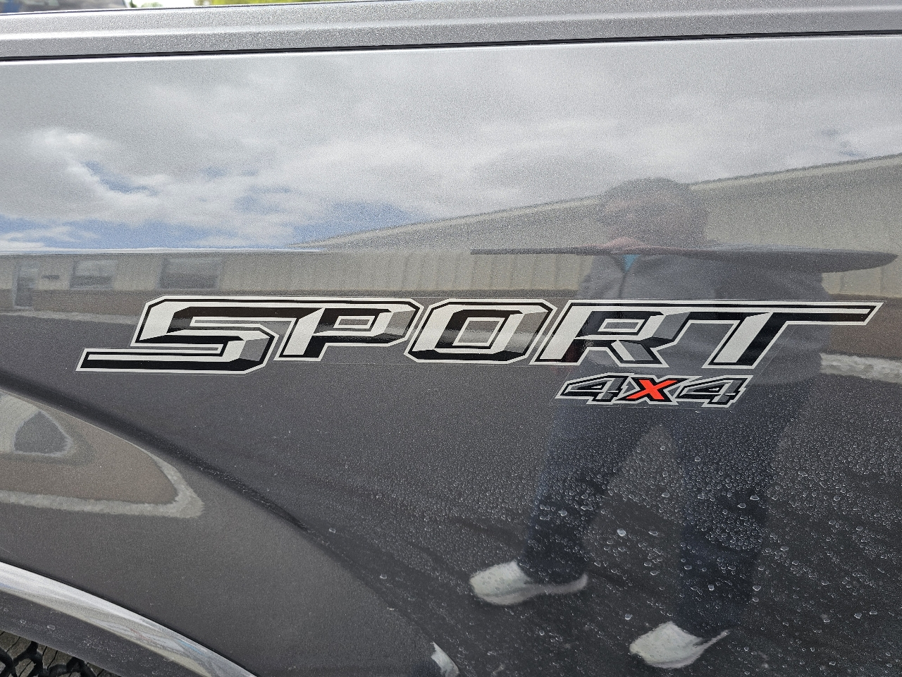 Ford F-150 4WD SuperCrew 145" XLT 2019