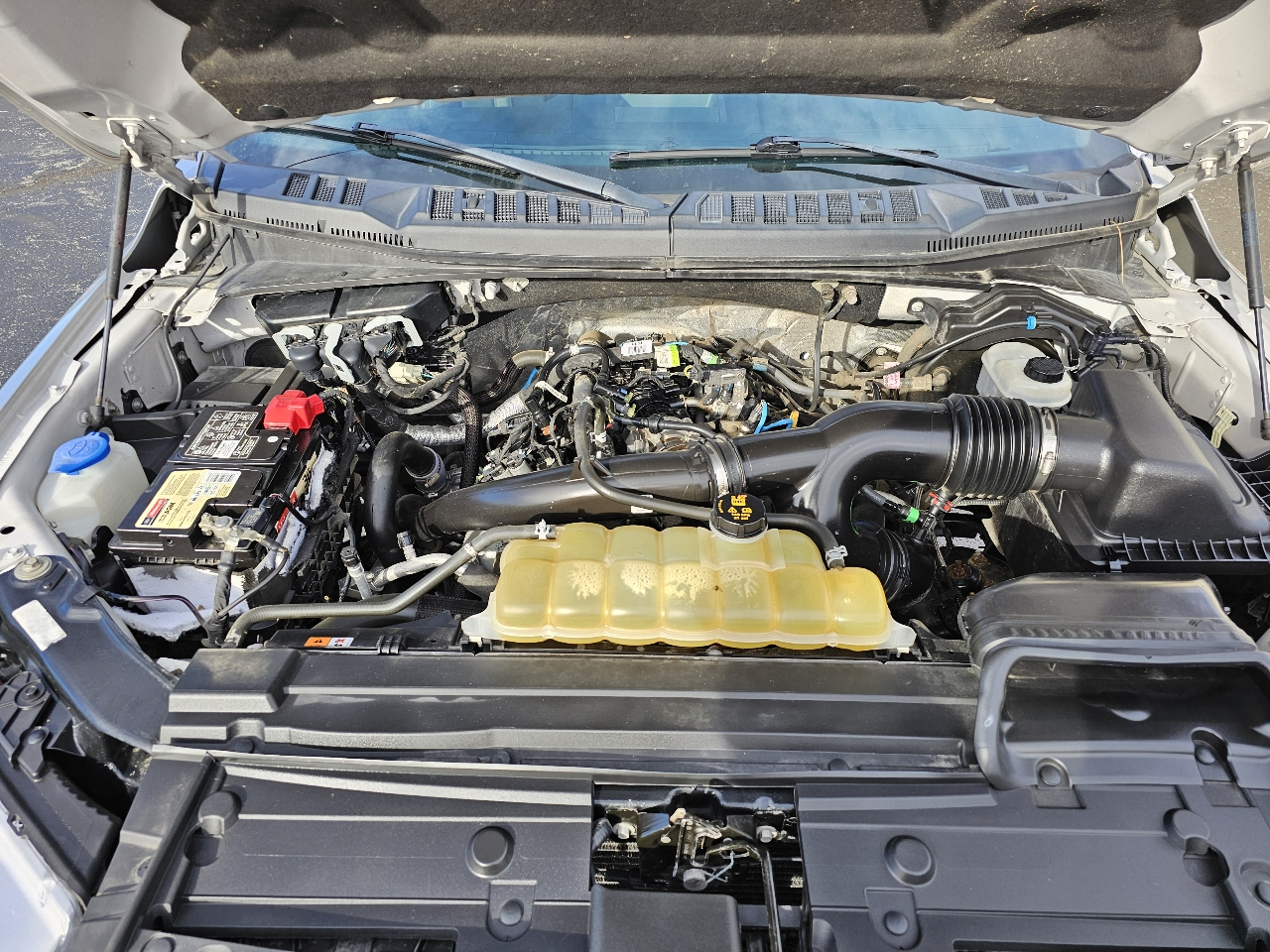 Ford F-150 4WD SuperCrew 145" XLT 2019