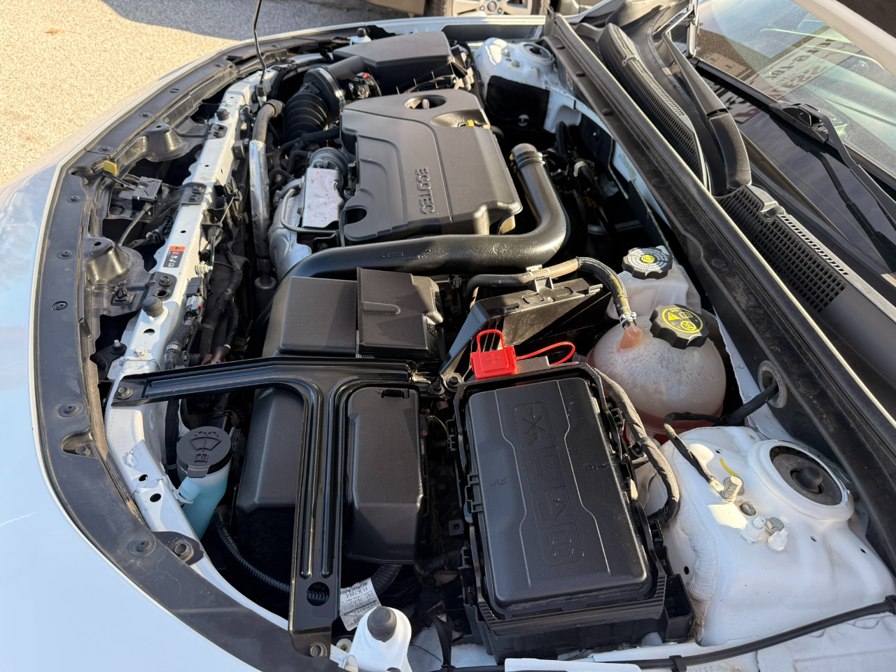 Chevrolet Malibu 1FL 2023