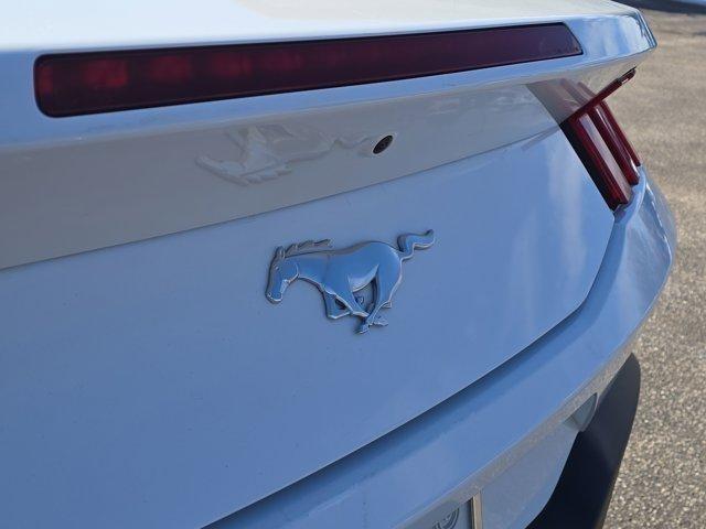 Ford Mustang  2024