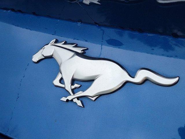 Ford Mustang  2024