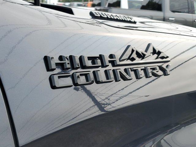 Chevrolet Silverado 1500  2023