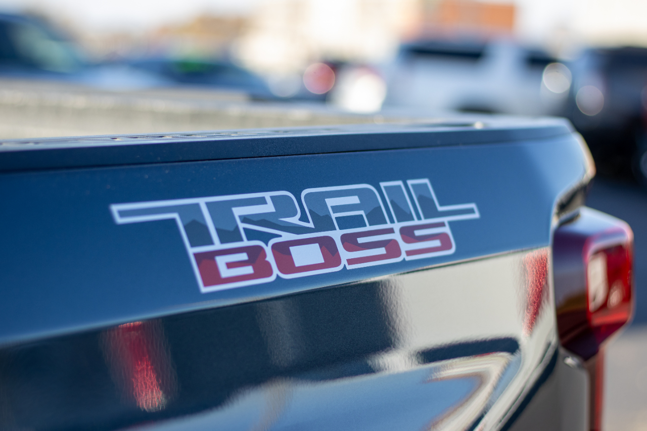 Chevrolet Silverado 1500 4WD Crew Cab 147" LT Trail Boss 2019