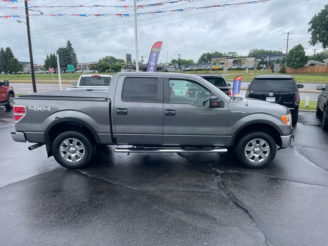 Ford F-150 4WD SuperCrew 145" Platinum 2009