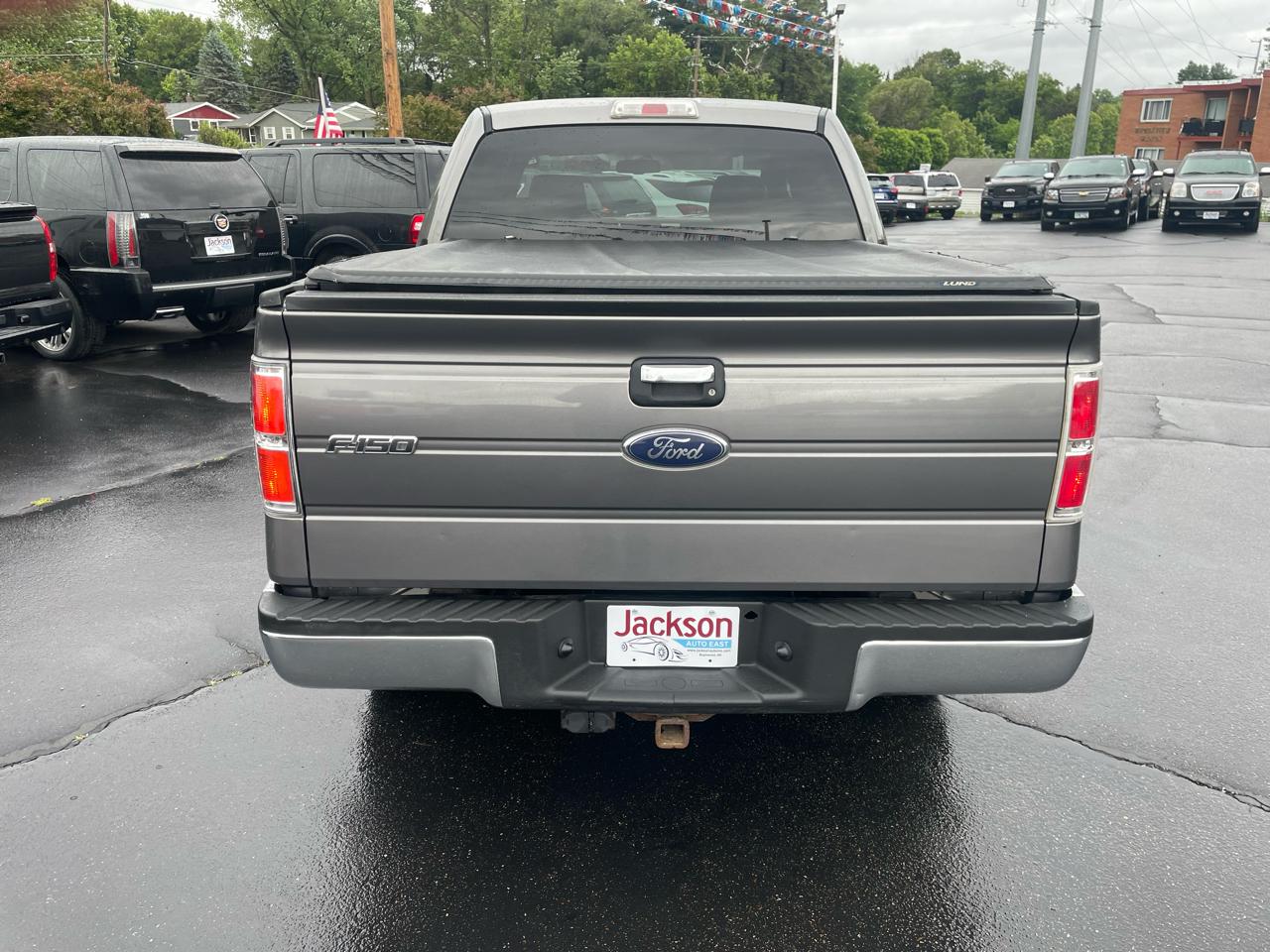 Ford F-150 4WD SuperCrew 145" Platinum 2009