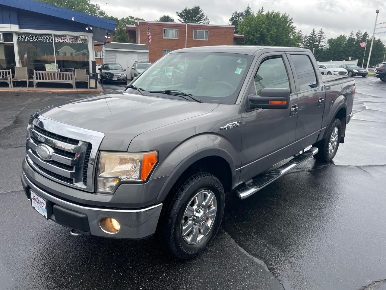 Ford F-150 4WD SuperCrew 145" Platinum 2009