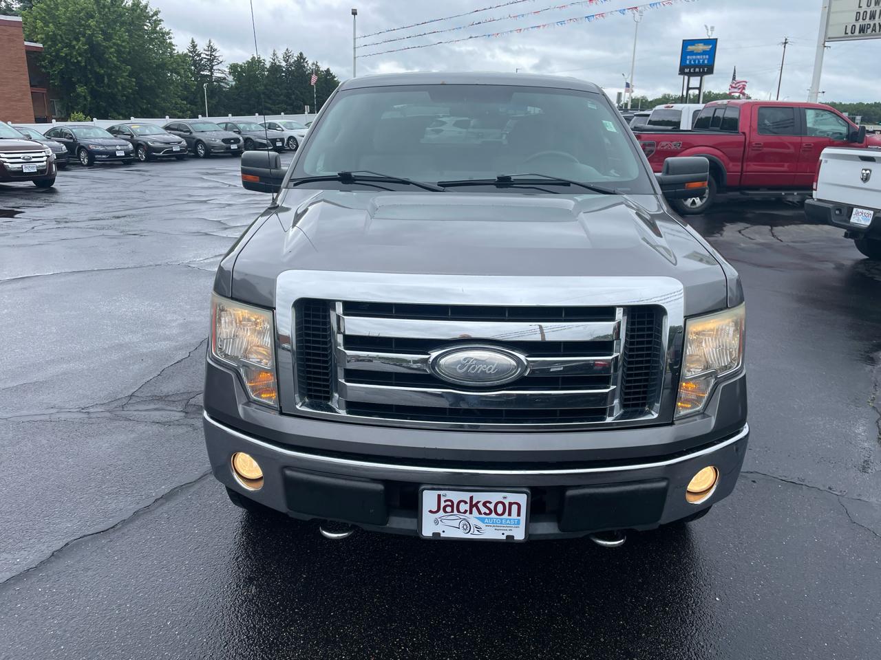 Ford F-150 4WD SuperCrew 145" Platinum 2009