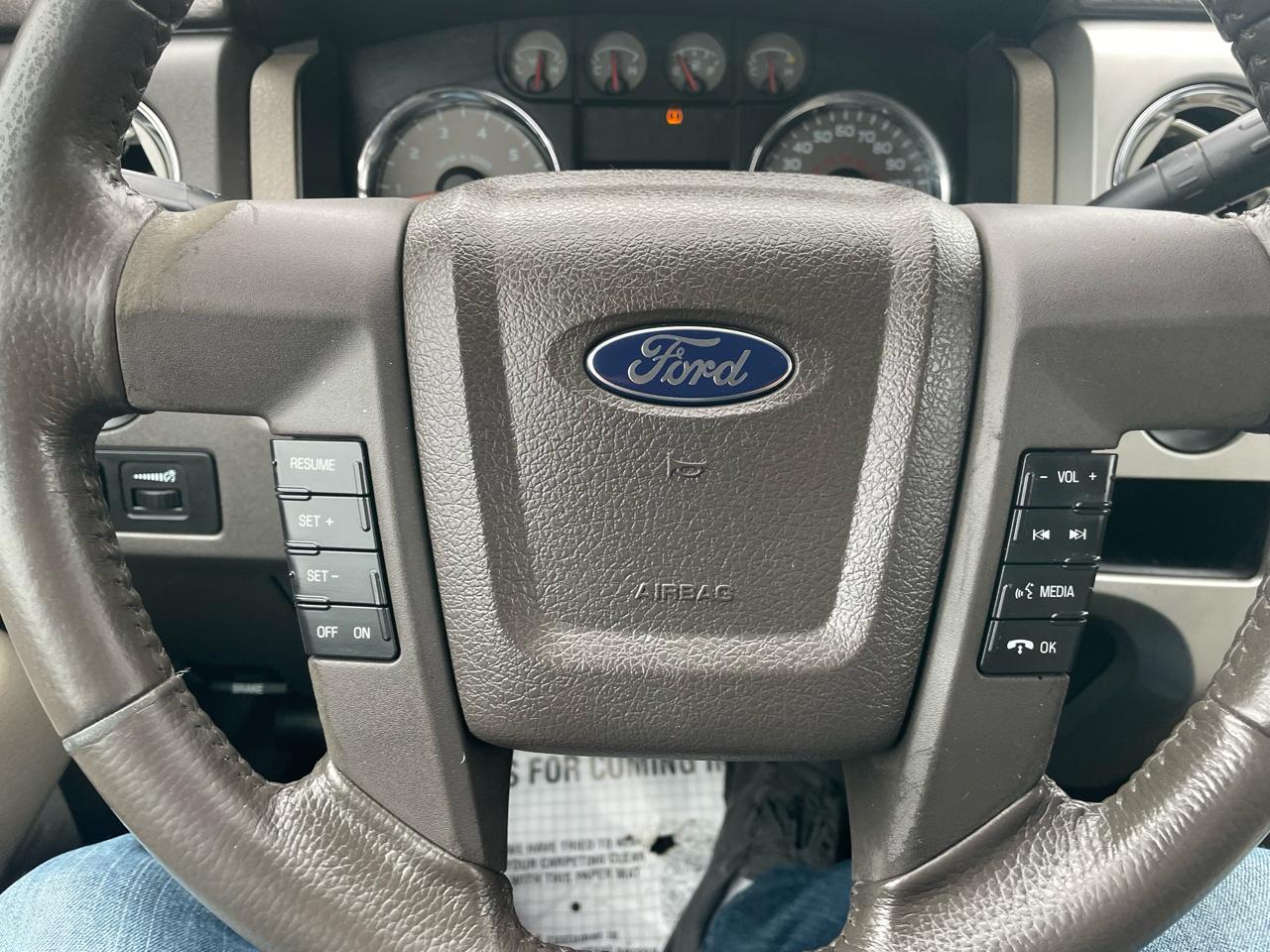 Ford F-150 4WD SuperCrew 145" Platinum 2009
