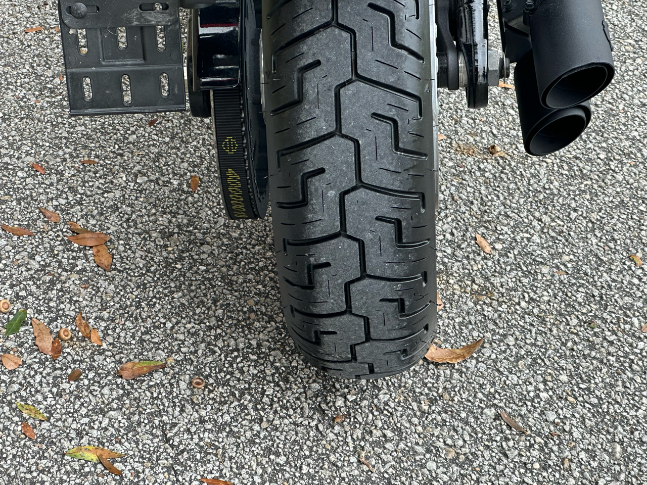 Harley-Davidson FXBB  2019 Harley-Davidson FXBB  2019