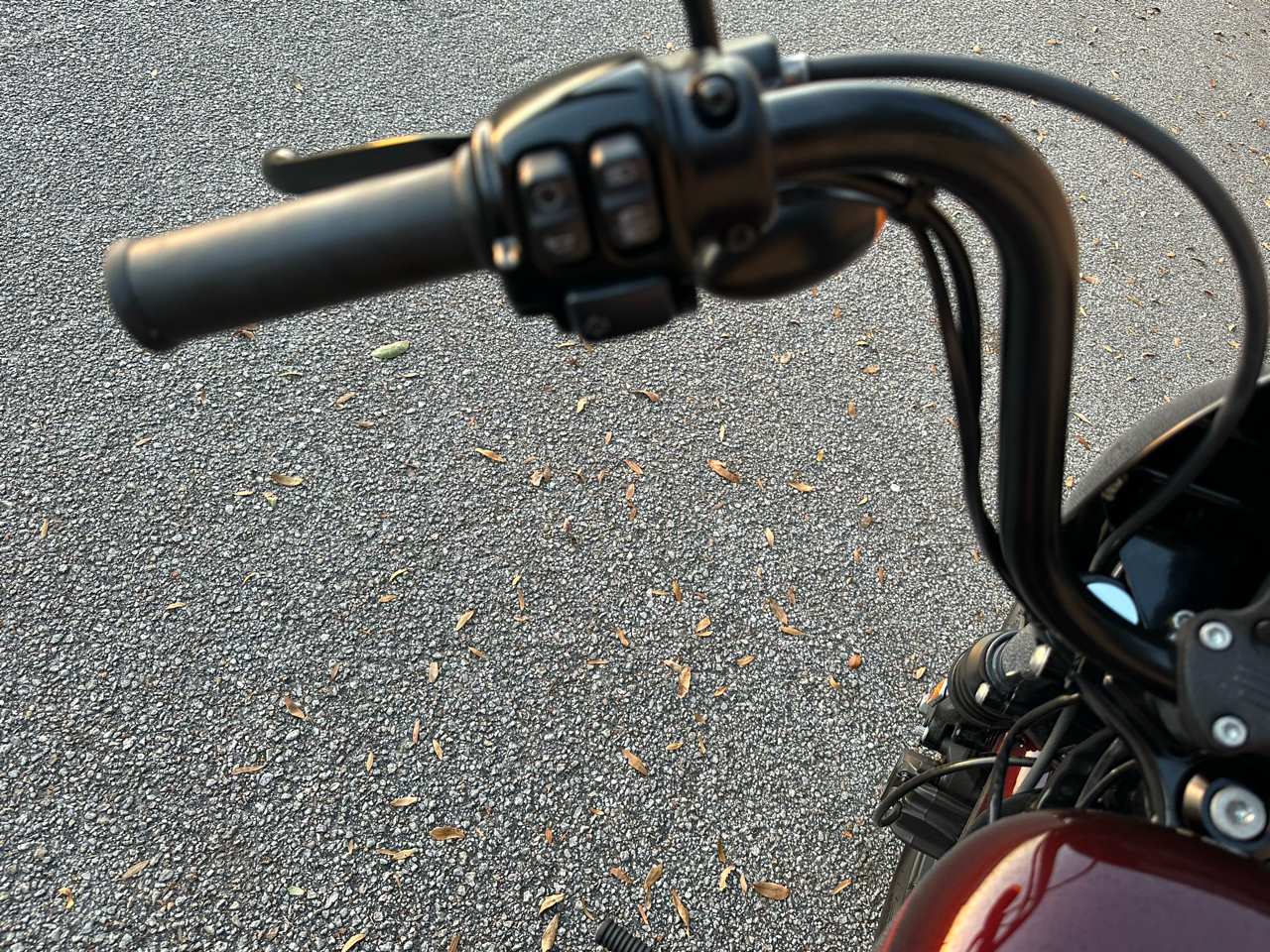 Harley-Davidson XL1200NS  2019