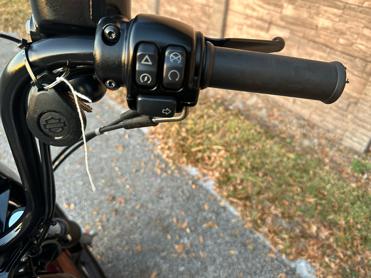 Harley-Davidson XL1200NS  2019