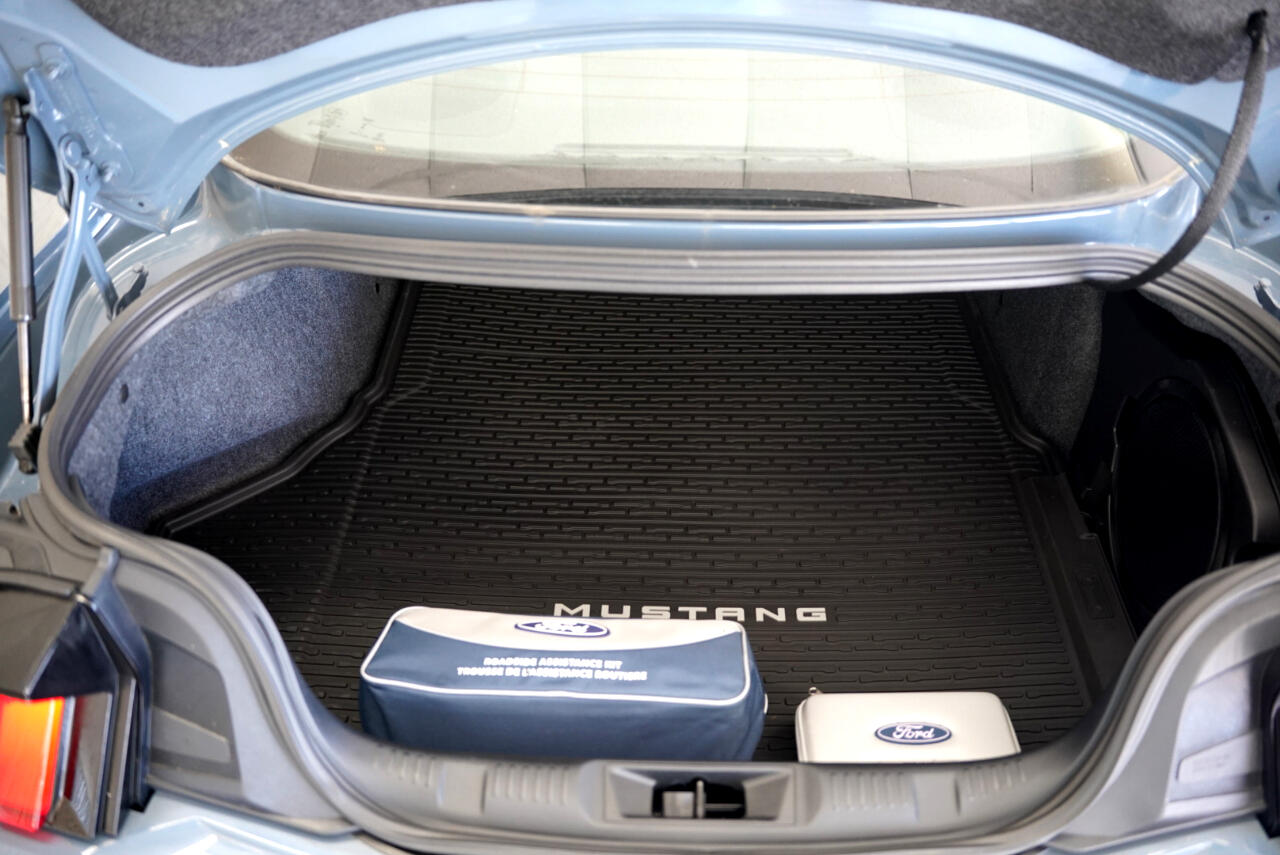 Ford Mustang  2024 Ford Mustang  2024