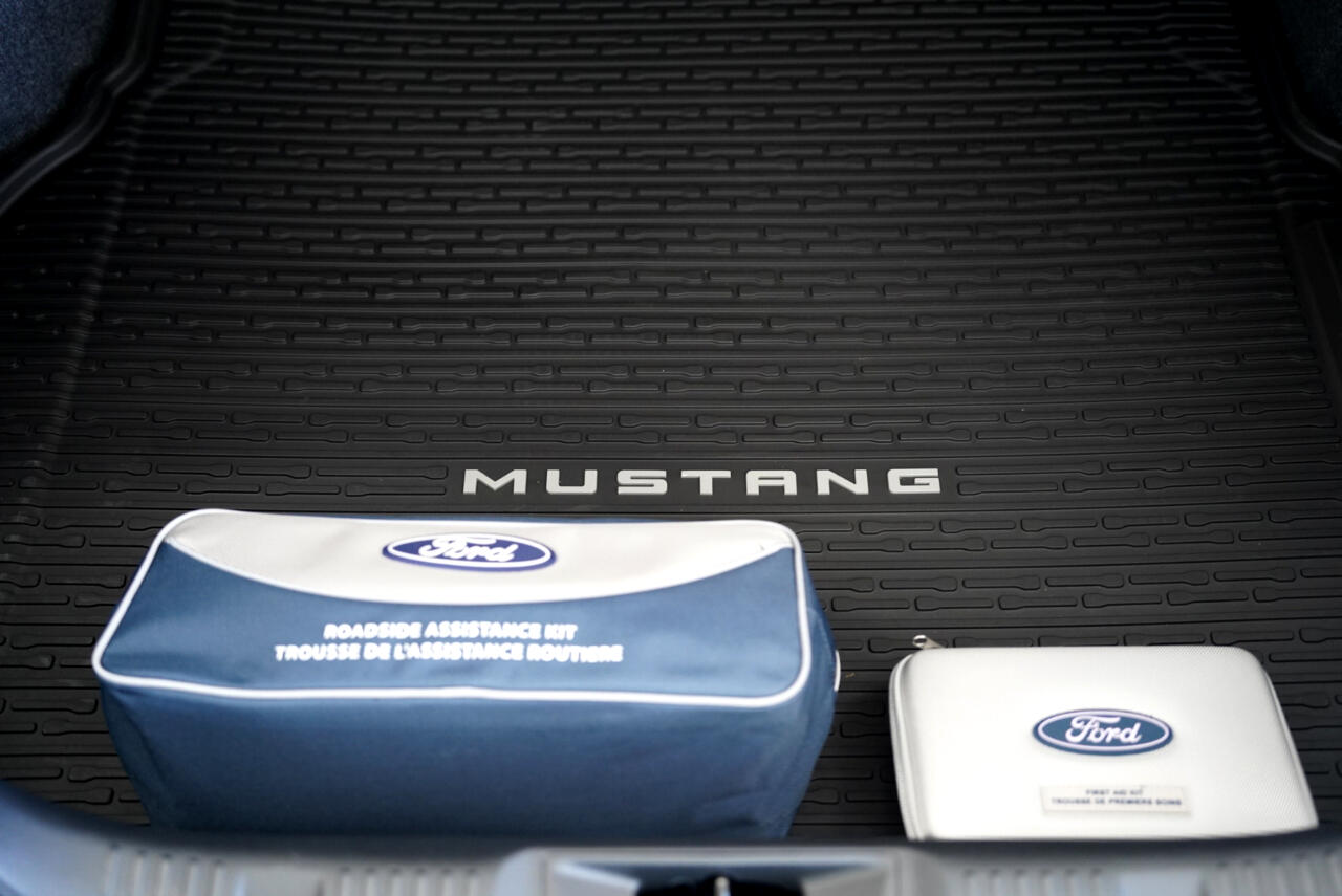 Ford Mustang  2024 Ford Mustang  2024