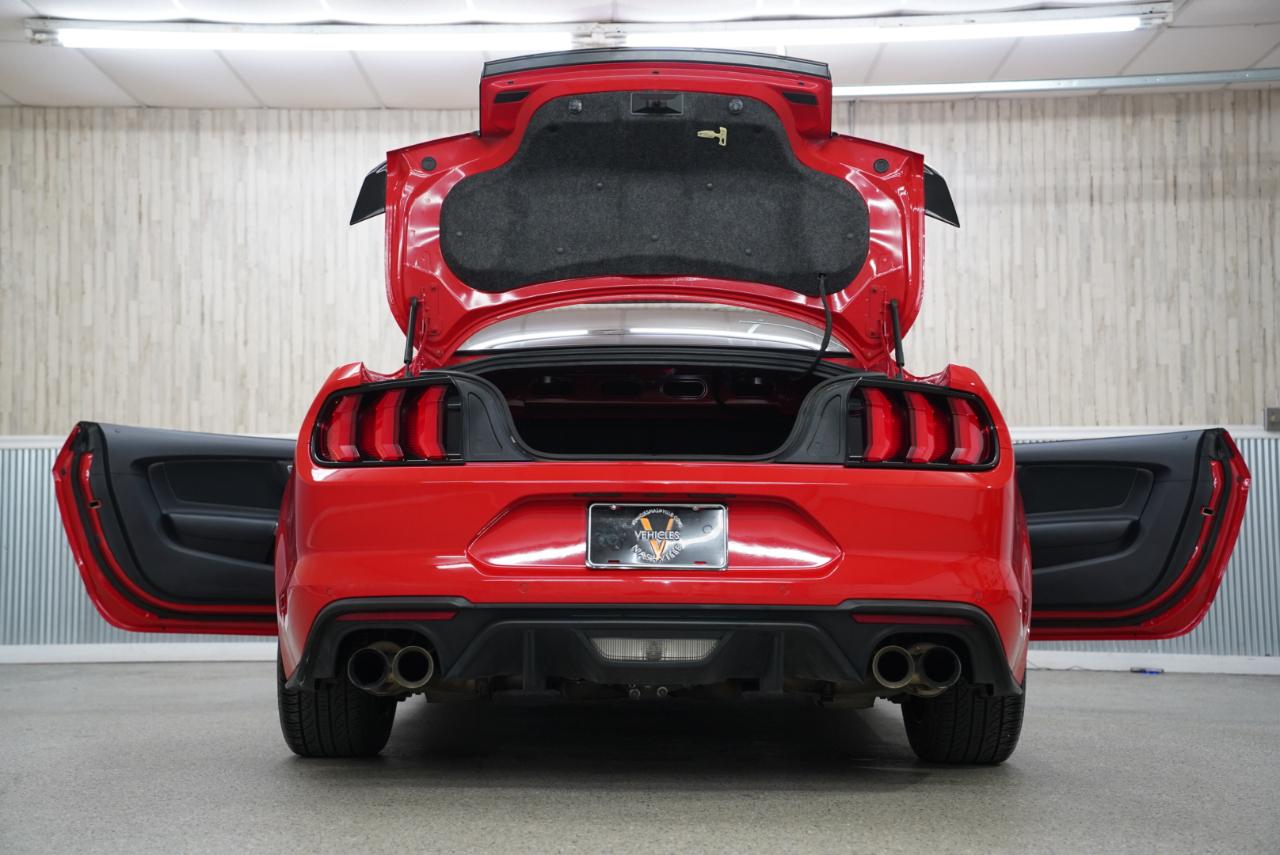 Ford Mustang GT Fastback 2018